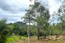 Land for sale in Tha Yu, Phang Nga
