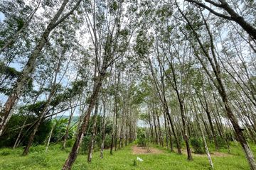 Land for sale in Mai Khao, Phuket
