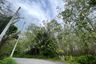 Land for sale in Mai Khao, Phuket
