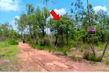 Land for sale in Na Fai, Chaiyaphum