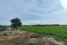 Land for sale in Sai Noi, Nonthaburi