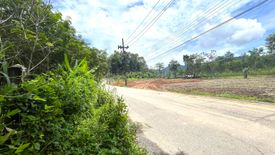 Land for sale in Khok Kloi, Phang Nga