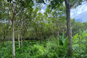 Land for sale in Khok Kloi, Phang Nga