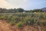 Land for sale in Wang Phong, Prachuap Khiri Khan