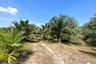 Land for sale in Bang Sai, Phang Nga