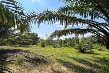 Land for sale in Bang Sai, Phang Nga