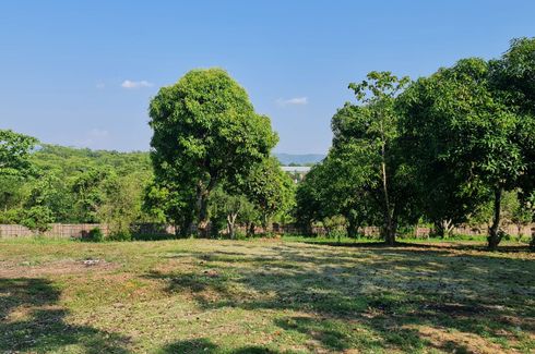 Land for sale in Huai Sak, Chiang Rai