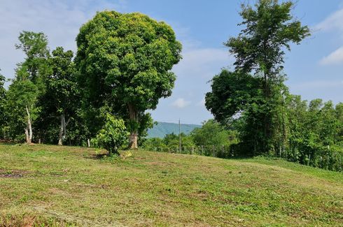 Land for sale in Huai Sak, Chiang Rai