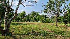 Land for sale in Huai Sak, Chiang Rai