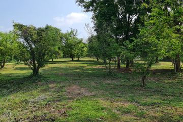 Land for sale in Huai Sak, Chiang Rai