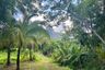 Land for sale in Nong Thale, Krabi