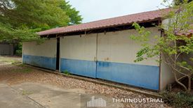 Warehouse / Factory for sale in Nong Irun, Chonburi
