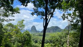 Land for sale in Khlong Khian, Phang Nga