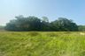 Land for sale in Pa Khlok, Phuket