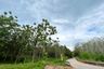 Land for sale in Mai Khao, Phuket