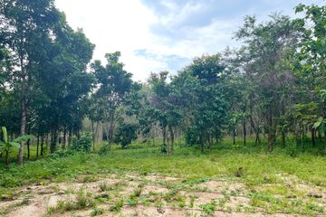 Land for sale in Mai Khao, Phuket