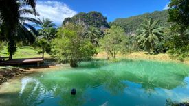 Land for sale in Nong Thale, Krabi