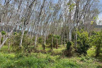 Land for sale in Thep Krasatti, Phuket