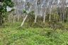 Land for sale in Thep Krasatti, Phuket