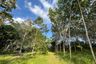 Land for sale in Kalai, Phang Nga