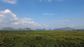 Land for sale in Kalai, Phang Nga