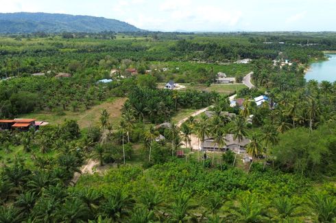 Land for sale in Na Toei, Phang Nga