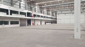 Warehouse / Factory for Sale or Rent in Pluak Daeng, Rayong