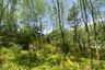Land for sale in Pa Khlok, Phuket