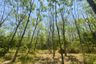 Land for sale in Pa Khlok, Phuket