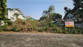 Land for sale in Chang Khlan, Chiang Mai