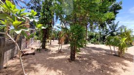 Land for sale in Bo Phut, Surat Thani