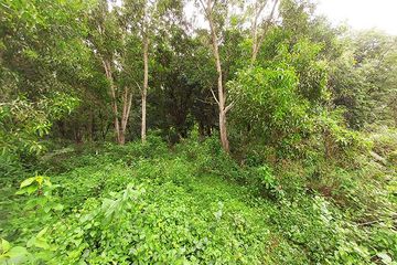 Land for sale in Kram, Rayong