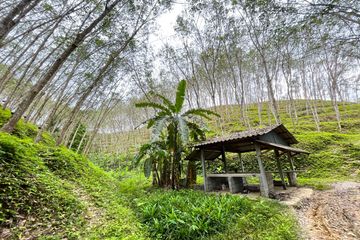 Land for sale in Tha Yu, Phang Nga