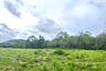Land for sale in Khok Kloi, Phang Nga