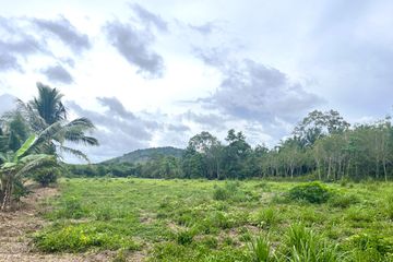 Land for sale in Khok Kloi, Phang Nga
