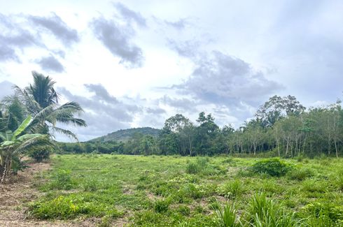 Land for sale in Khok Kloi, Phang Nga