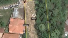 Land for sale in Nong Prue, Chonburi