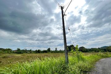 Land for sale in Thep Krasatti, Phuket