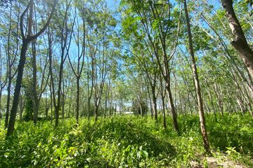 Land for sale in Thep Krasatti, Phuket