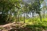 Land for sale in Thep Krasatti, Phuket