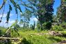 Land for sale in Chalong, Phuket