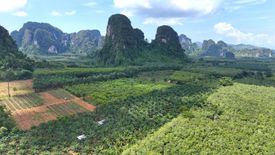 Land for sale in Nong Thale, Krabi