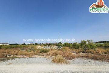 Land for sale in Nong Mai Daeng, Chonburi