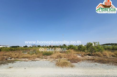 Land for sale in Nong Mai Daeng, Chonburi