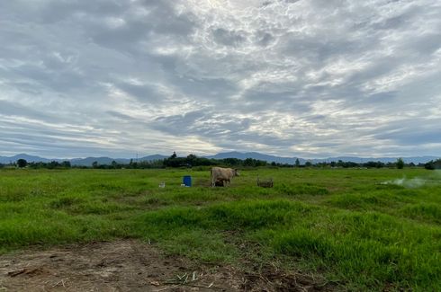 Land for sale in Chae Chang, Chiang Mai