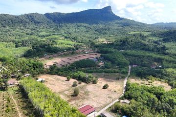 Land for sale in Ao Nang, Krabi