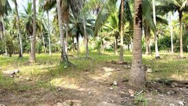 Land for sale in Huai Yai, Chonburi