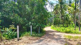 Land for sale in Kalai, Phang Nga