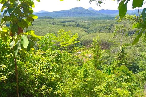 Land for sale in Kalai, Phang Nga