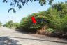 Land for sale in Khae Tok, Phra Nakhon Si Ayutthaya